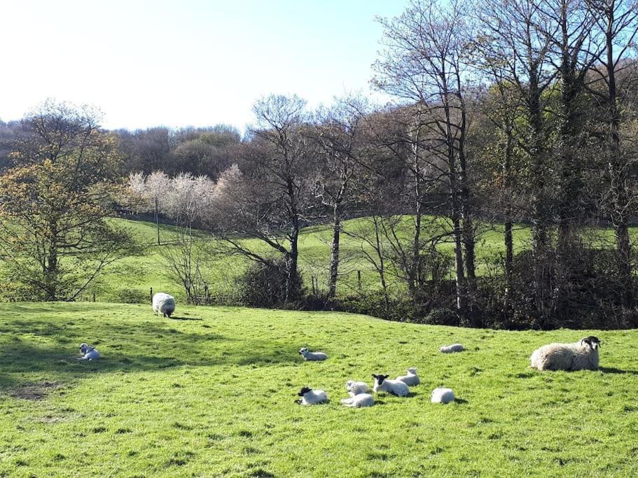 Folly View - Private, Peaceful Apartment With Stunning Views. Pateley Bridge Exterior foto
