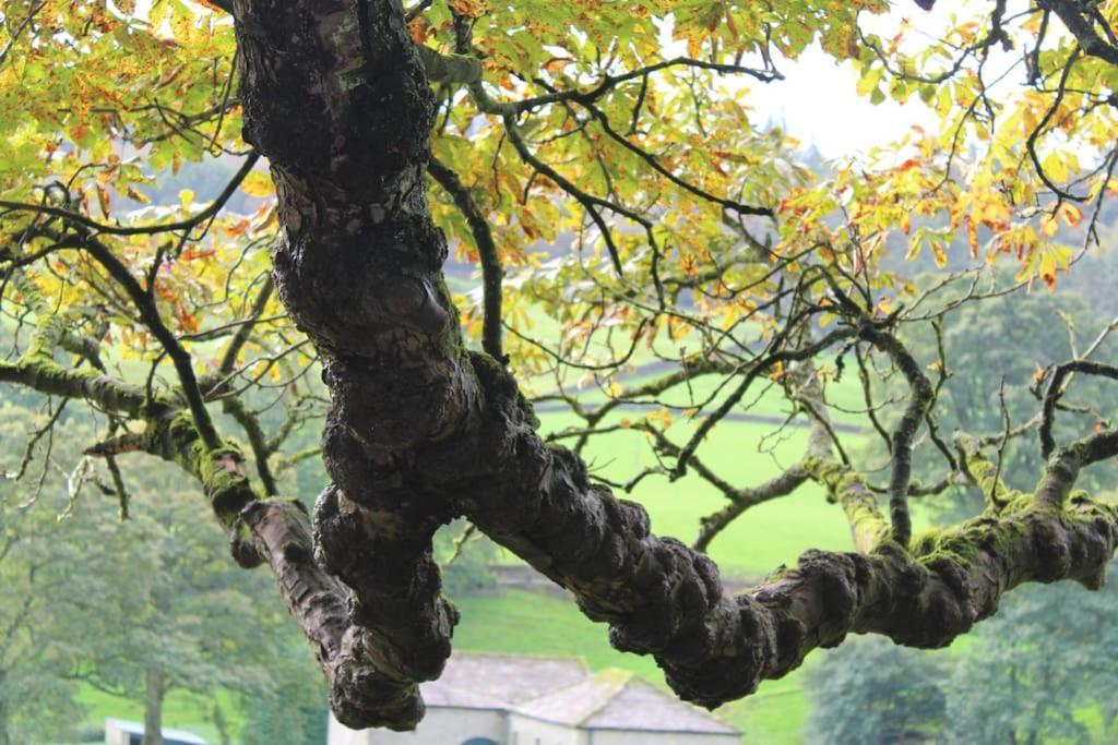 Folly View - Private, Peaceful Apartment With Stunning Views. Pateley Bridge Exterior foto